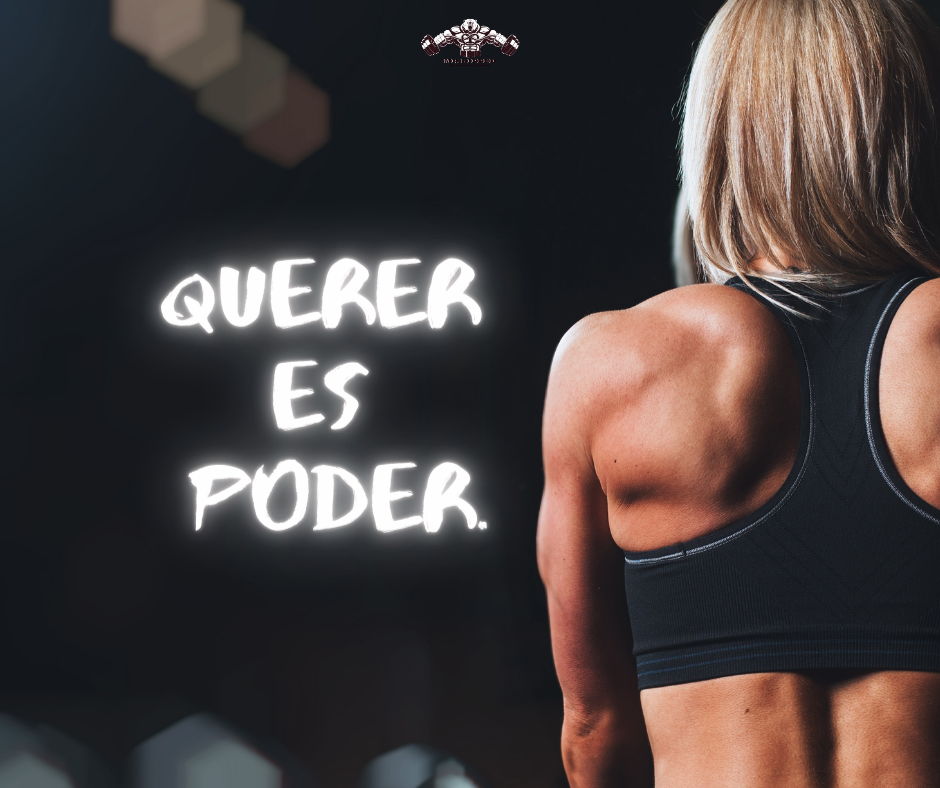 Mr.Ripped Suplementos Deportivos | Guadalajara