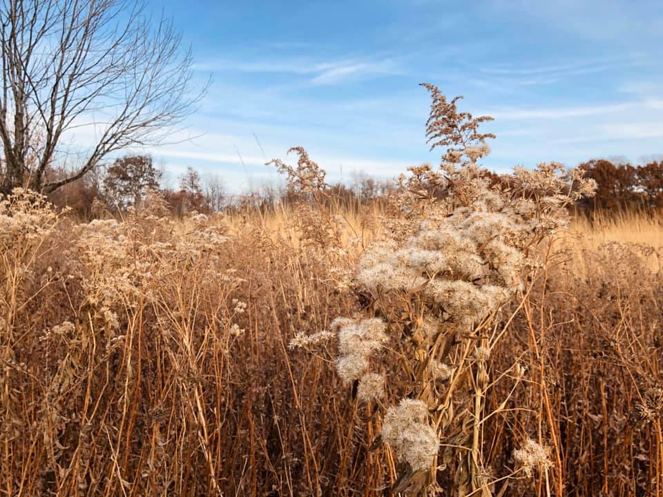The nature at Perry... - Bourbonnais Township Park District