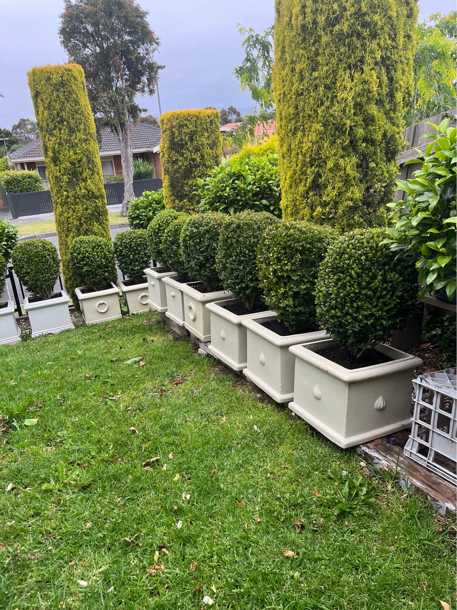 Pair of Shaped Dutch boxes in decorative pots Both $300 - Pots ...