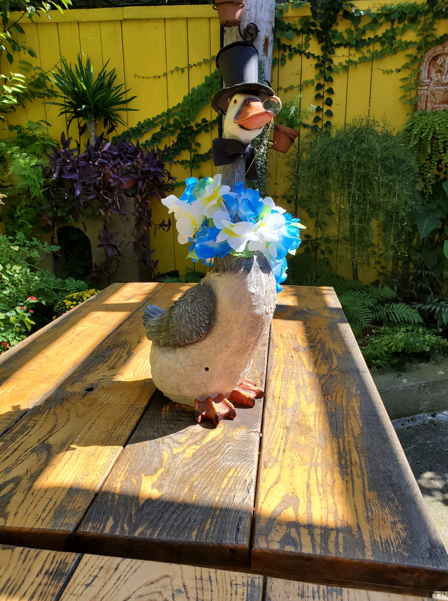 The Dapper Goose | Buffalo NY