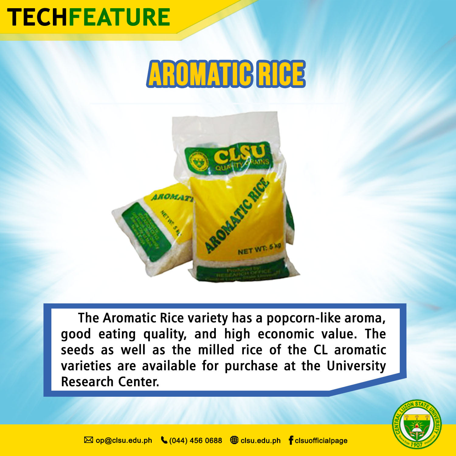 Central - TECHFEATURE | THE CL AROMATIC RICE VARIETIES Rice is an ...