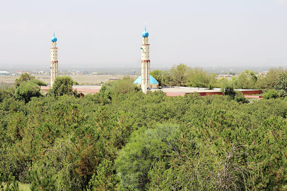 Rauf Gul Yarmal