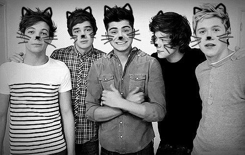 One Directioners