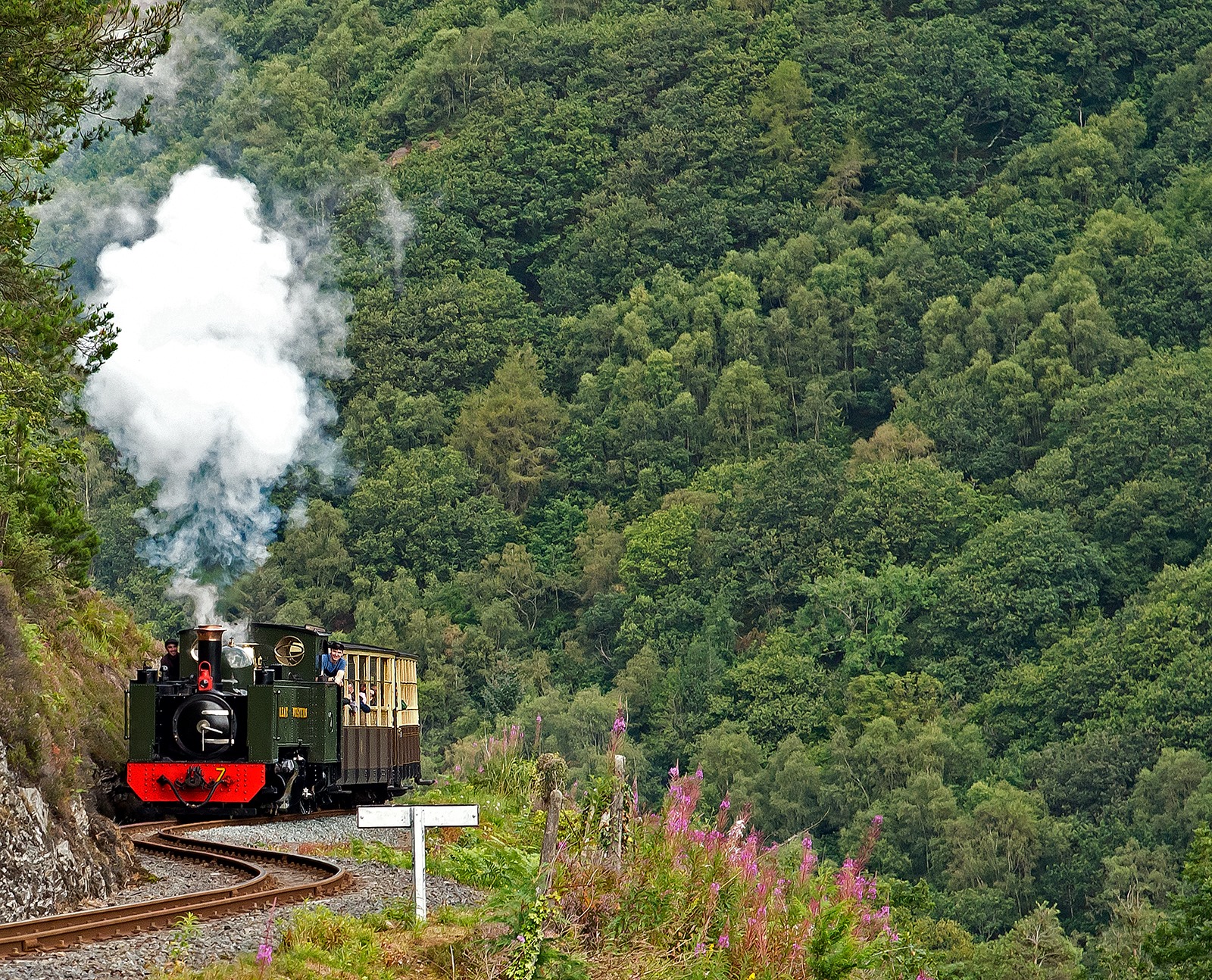 Demonstrating the magic of... - Vale of Rheidol Railway | Facebook