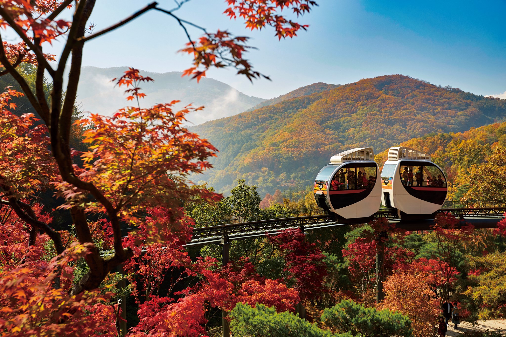 온더로드 - 곧 있으면 단풍이 물드는 시간🍁 서울에서 1시간 거리, 단풍 #숲캉스 즐기기 좋은 방법