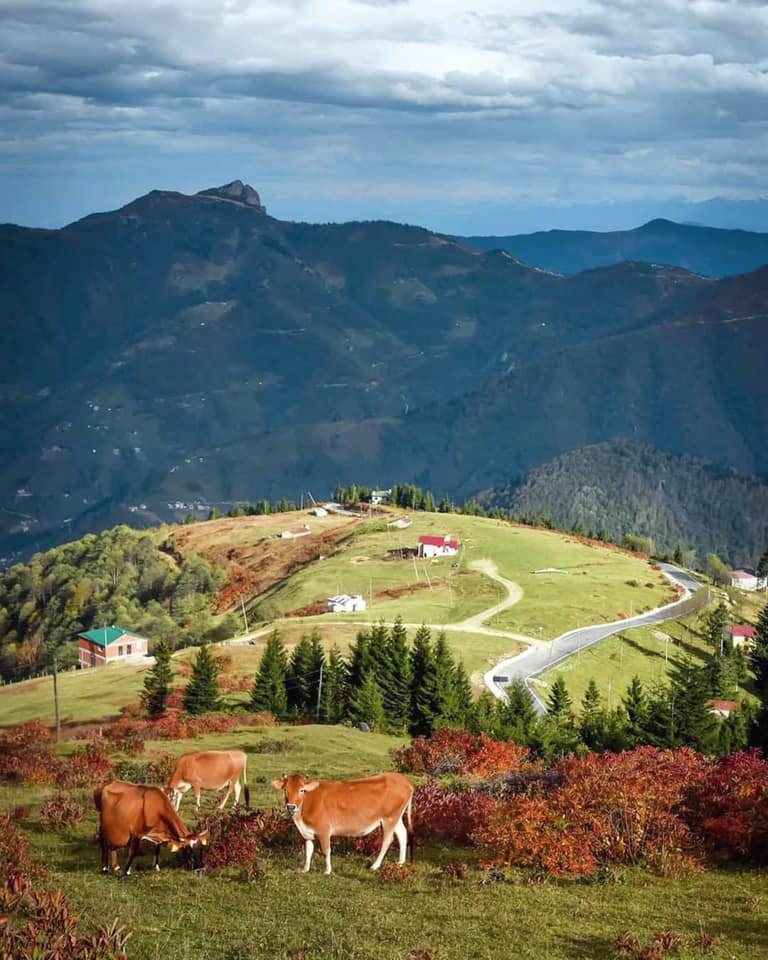 احجز مع دكتور محمد العطار استشاري عيون فيزيتا