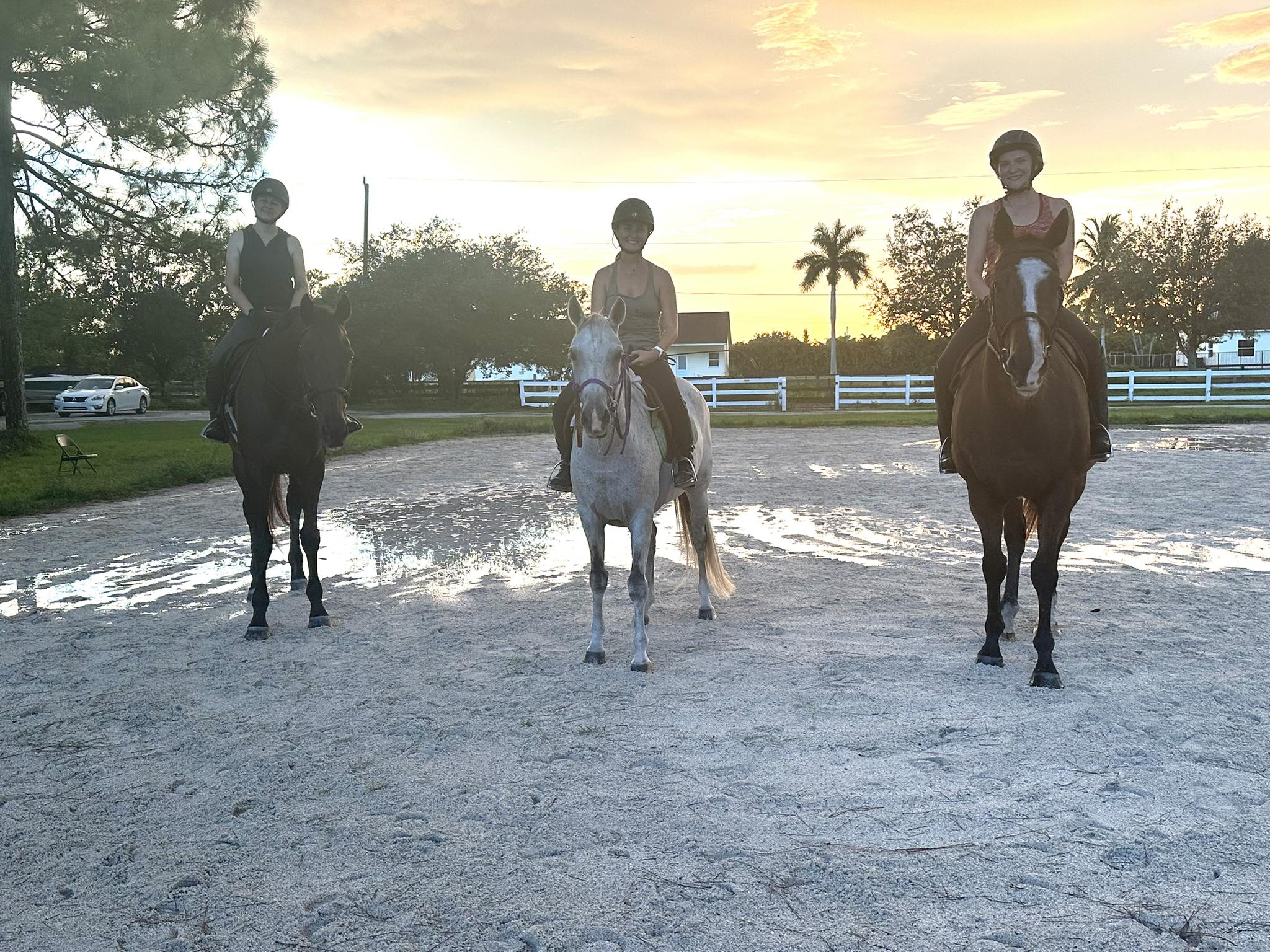 Amber Lee Stables