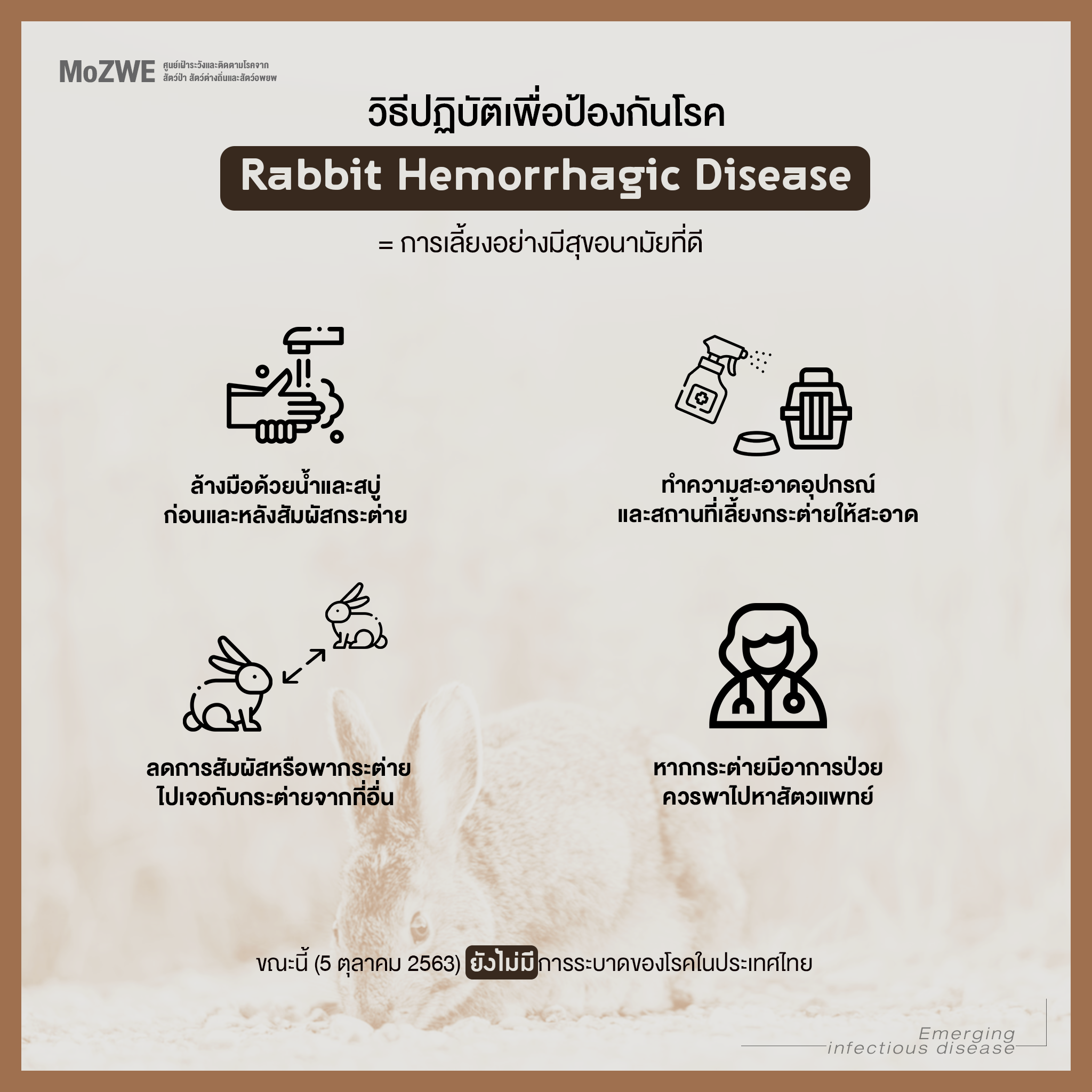 วิธีปฏิบัติเพื่อป้องกันโรค Rabbit Hemorrhagic Disease . จากข่าวการพบโรค ...