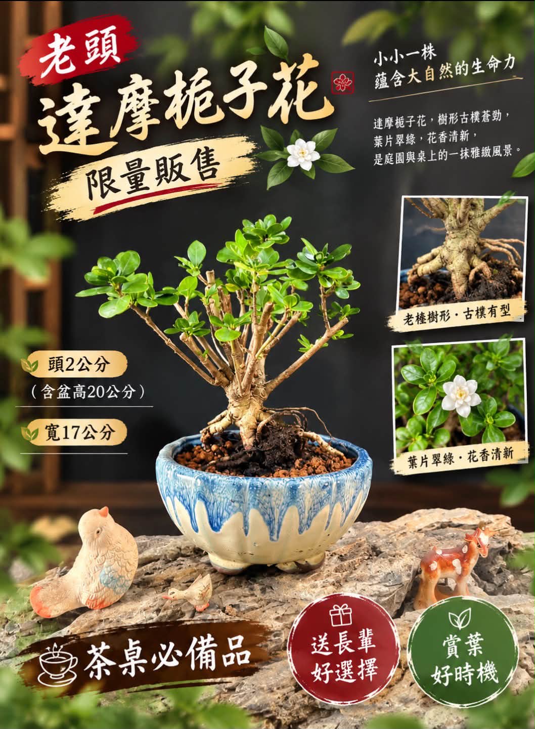 日本-久芳園紫砂四方淺盆鉢新品老盆長期保存未使用型制相當特別寬11/高