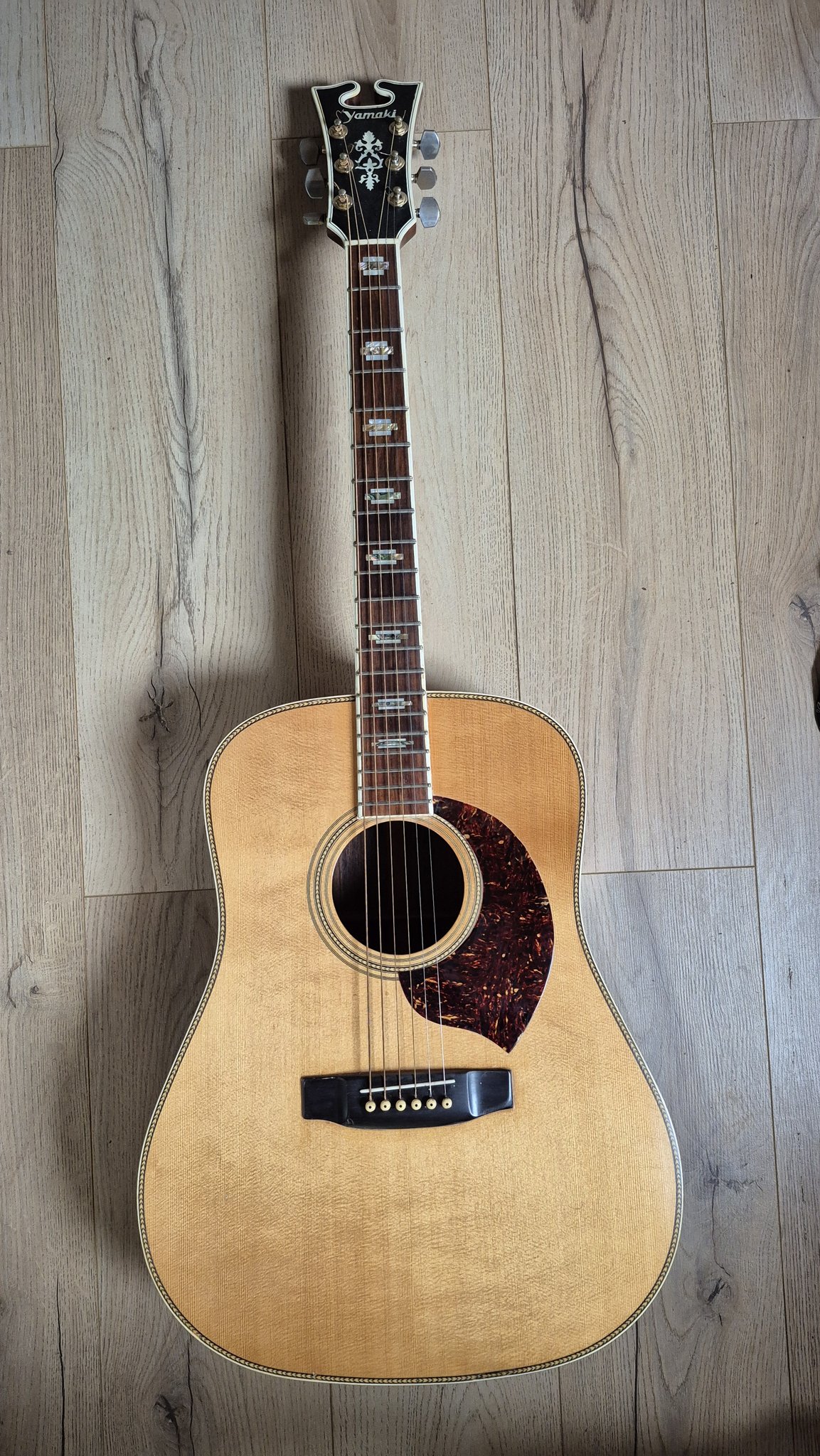 yamaki アコースティックギター ドレッドノート Yamaki Guitar Owners Group - YGOG