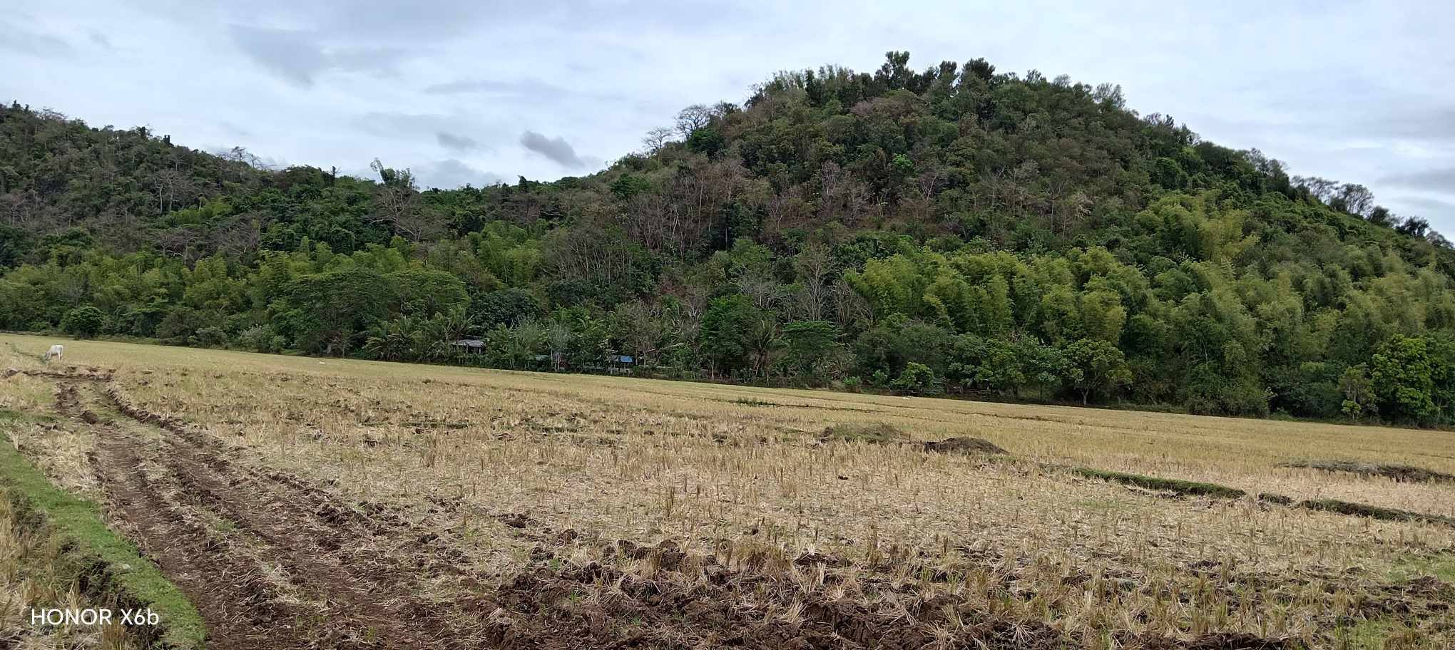 Farm lot,lot only, and House and lot at Tanay Rizal | Farm lot Soon to ...