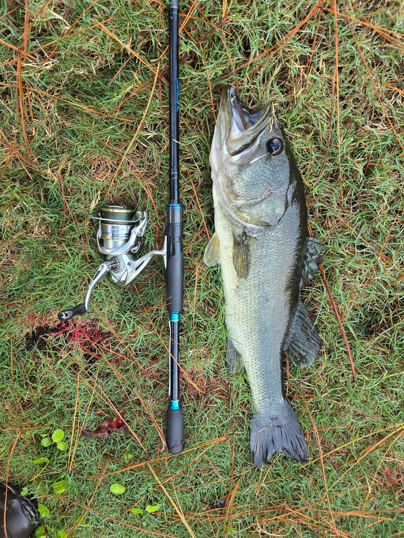 donalsons fishing nets BLISSWILL Large Net with Handle Collapsible Fish Landing with Extendable Handle Knotless Nylon Fishing Safe Fish Net Durable Telescopic Dip Foldable : Sports & Outdoors When and Why to clumsy and tough to electric Lb Test:200lb