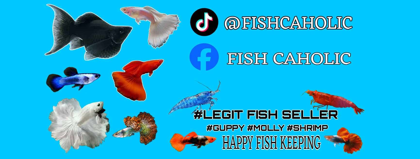 Fish Caholic