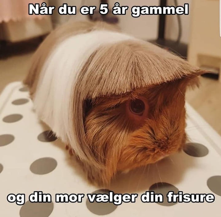 alle mulige ting, sindssyge ting | Facebook