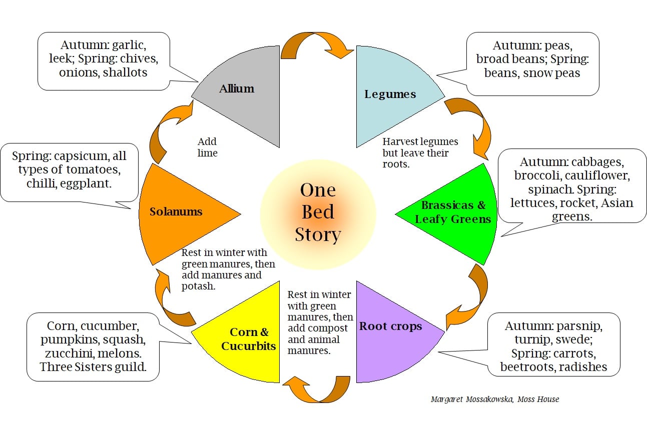 A 6-bed crop rotation chart... - Permaculture Sydney North