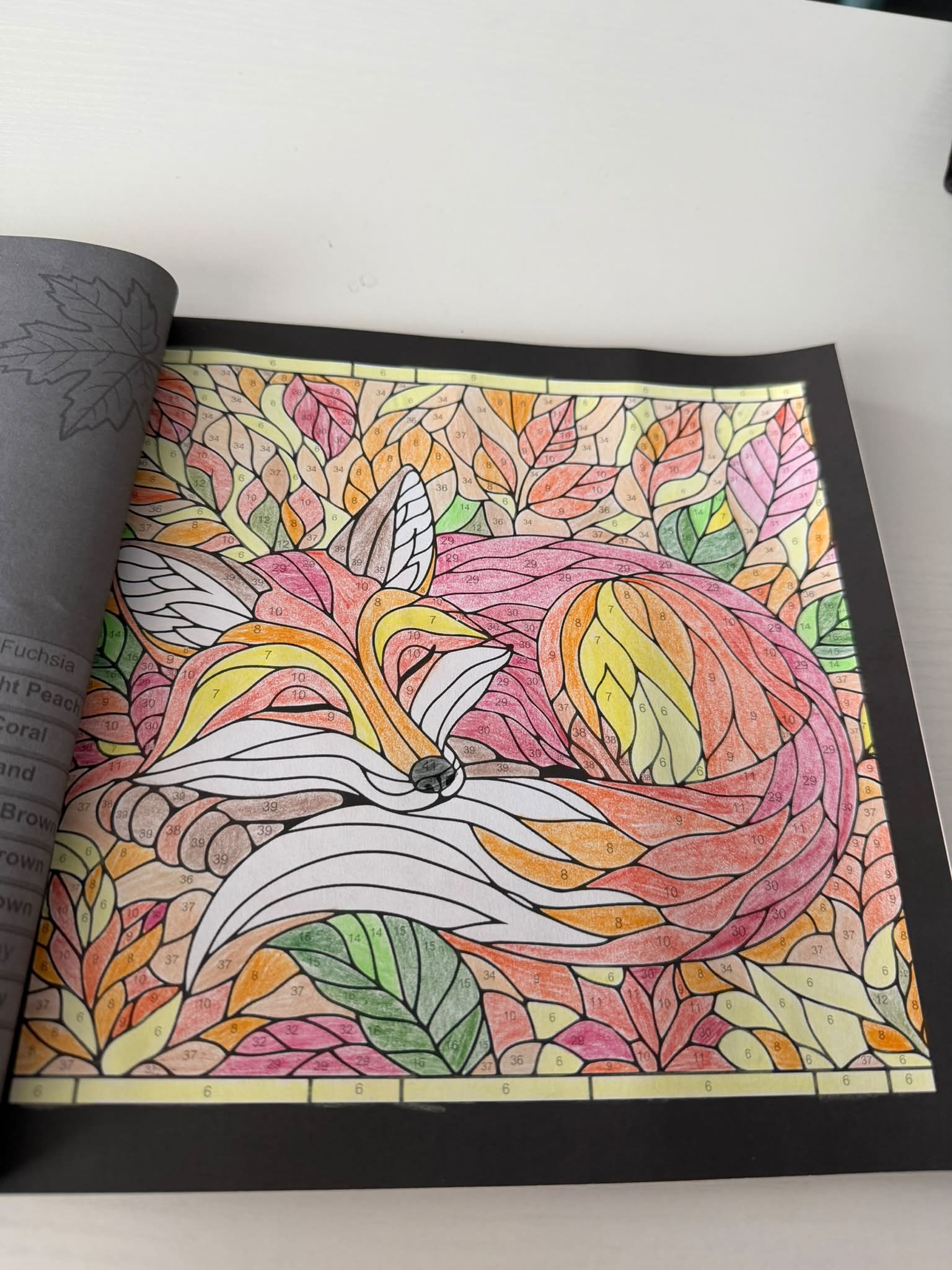 Coloring Stained Glass Autumn CBN Fox Page with Crayola Color Pencils