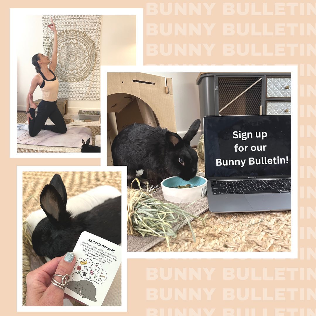 The Sacred Rabbit - June is just hopping on by and July will be here ...