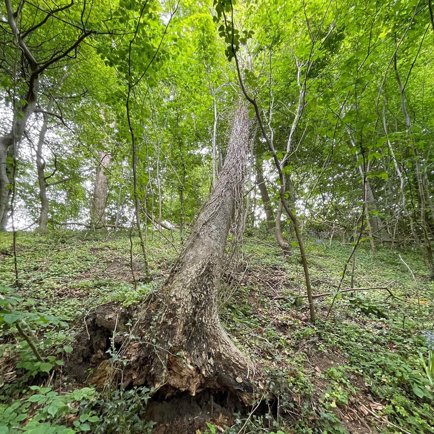Vi var lige en tur rundt på... - Drabæks Mølle Lunderskov