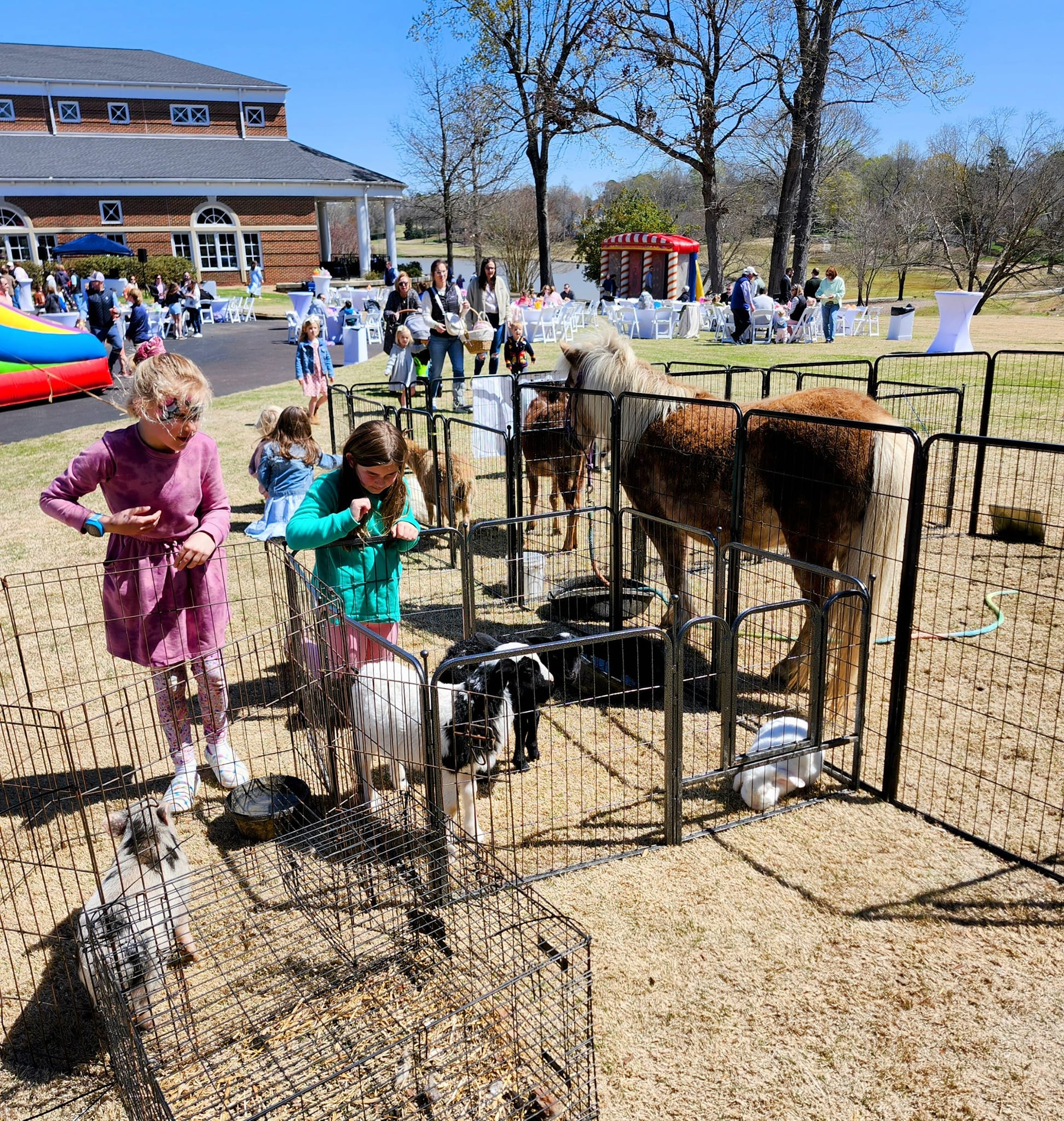 Mobile Petting Zoo- Heritage Valley Farm | Lenoir NC