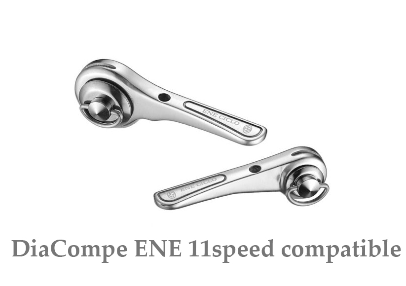 Converting Campagnolo 10-speed R2C bar end shifters to down tube use