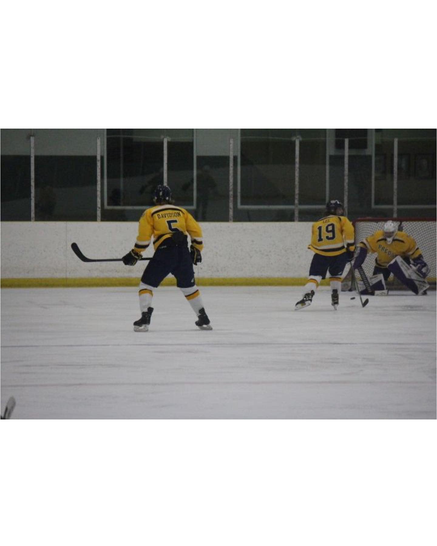 🚨 Meet The Preds 🚨 Introducing one of... - Niagara Predators