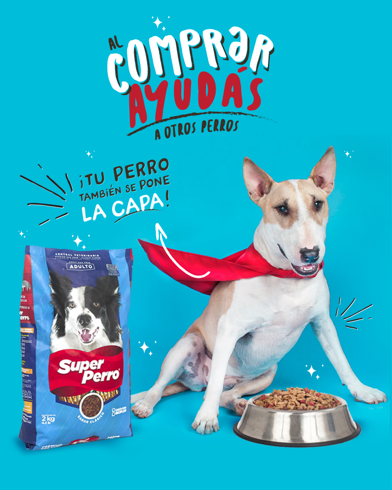 Super Perro - ¡Tu perrito también se pone la capa y se... | Facebook