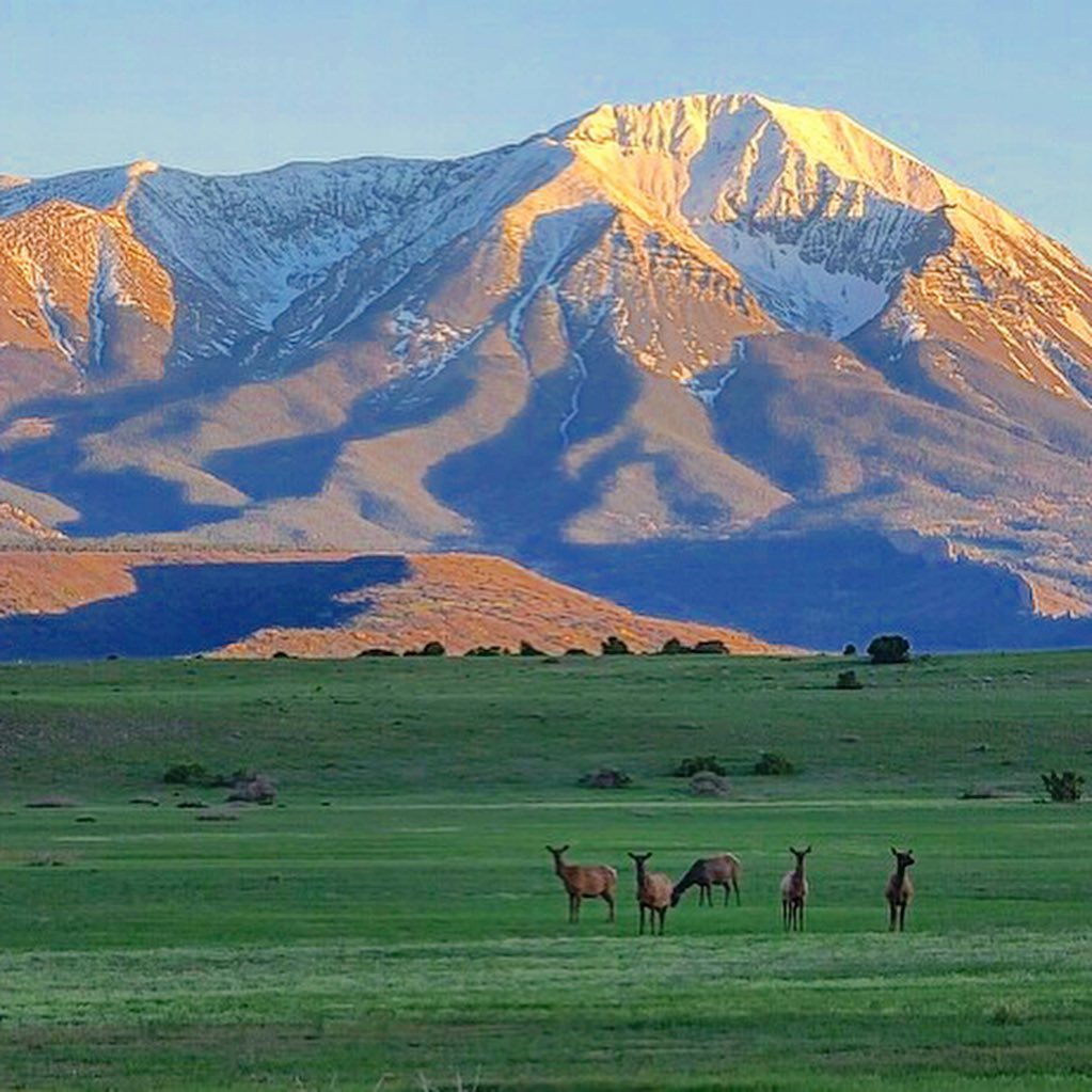 JW Ranch - For those who don’t know Bucky, he is the JW...