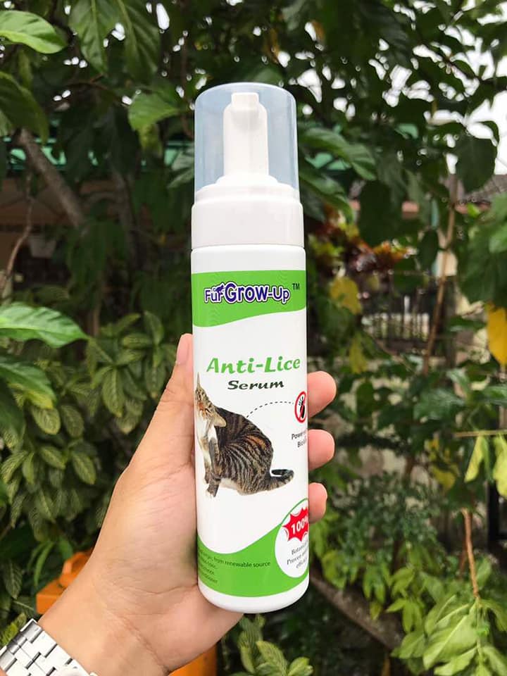 Racun Tikus Victory - RTV
