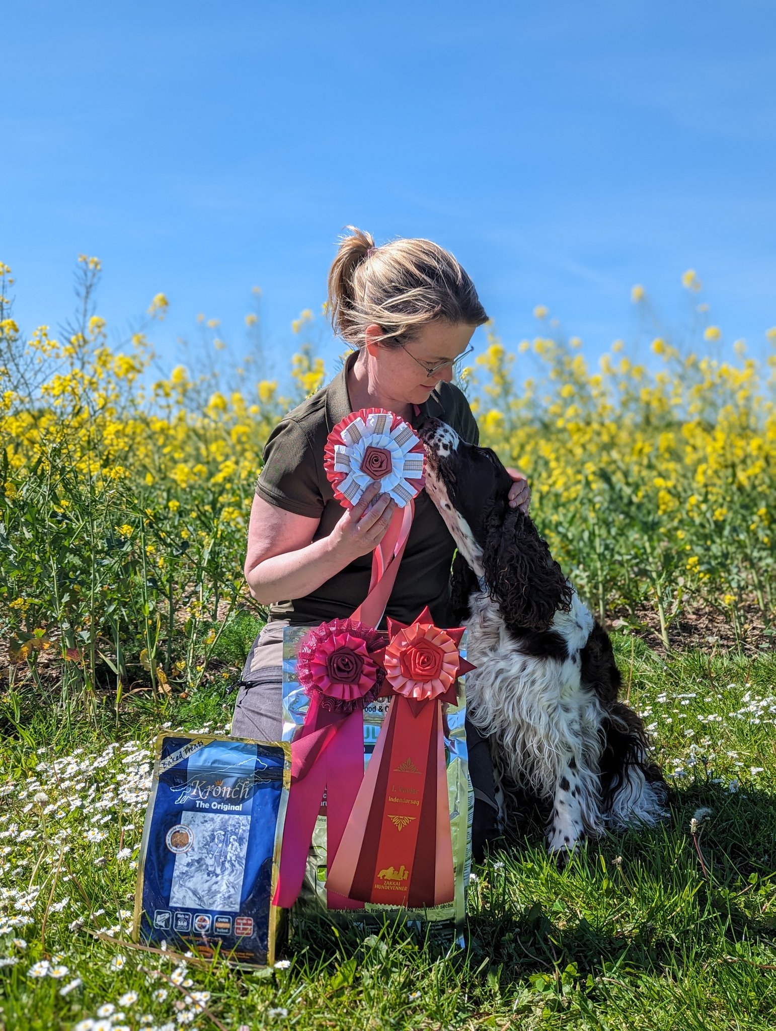 Northern English Springer Spaniel Society | Facebook