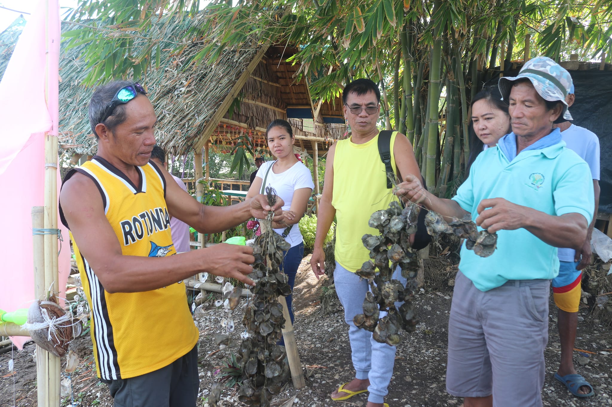 BFAR NFDC’s National Shellfish Livelihood Project (NSLP) The National ...