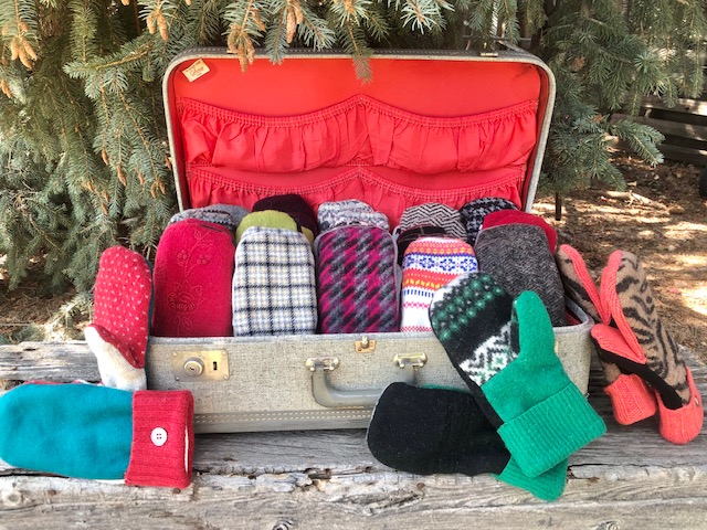CFC Fall Market | Fort Collins CO