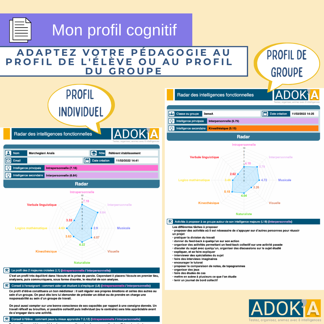 Adoka - Ton profil cognitif est obtenu suite à la réalisation du ...