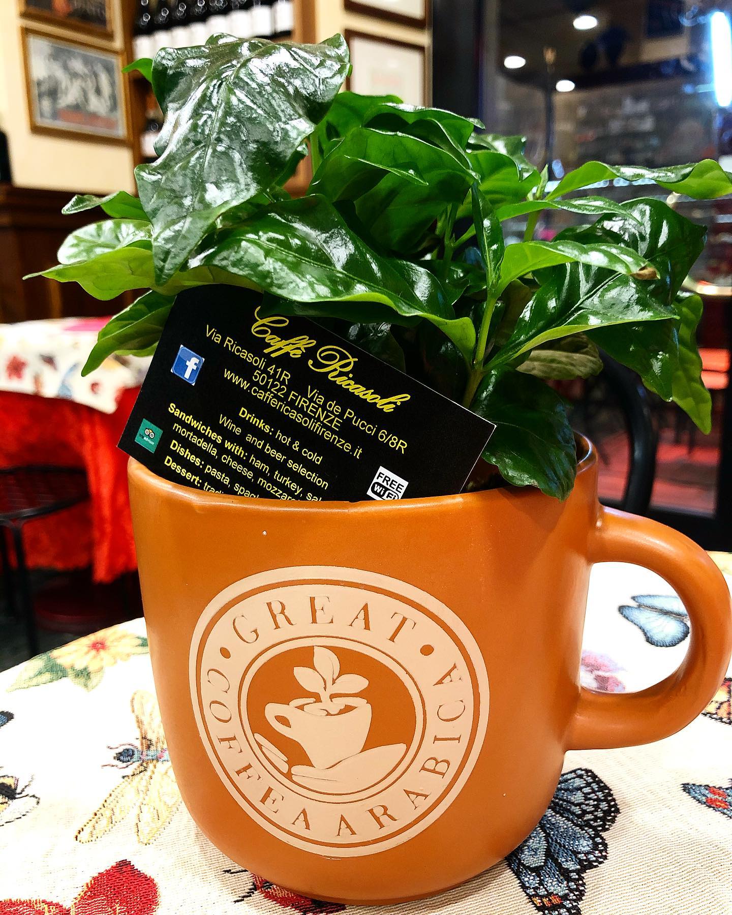 Caffè Ricasoli | Florence