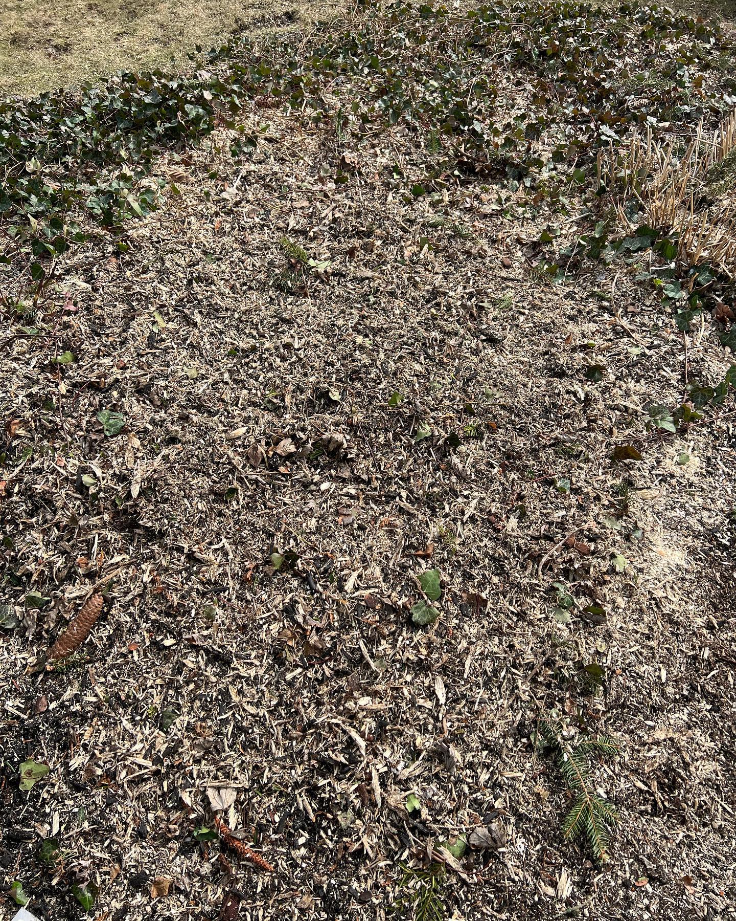 Tree Trim and Removal of WNY LLC | Kenmore NY