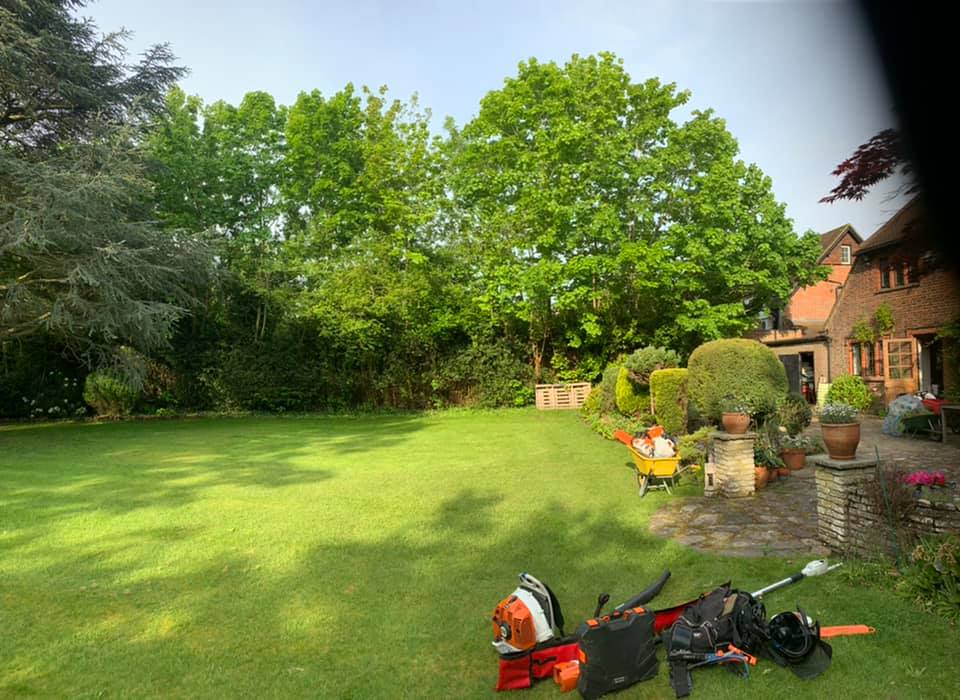 Sharp Tree Care