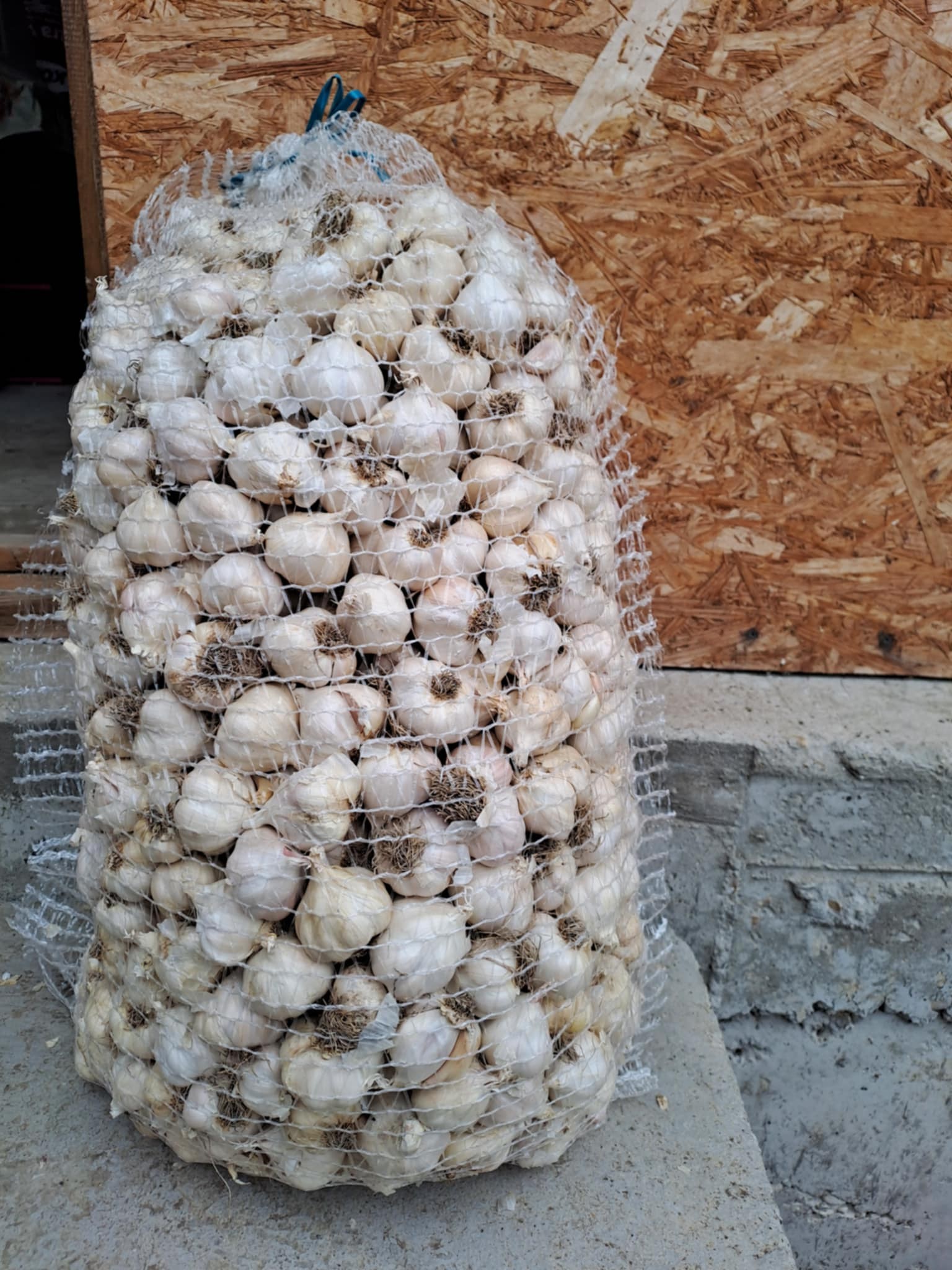 Vanzari Legume-Fructe Angro | Vând usturoi romanesc,producție proprie ...