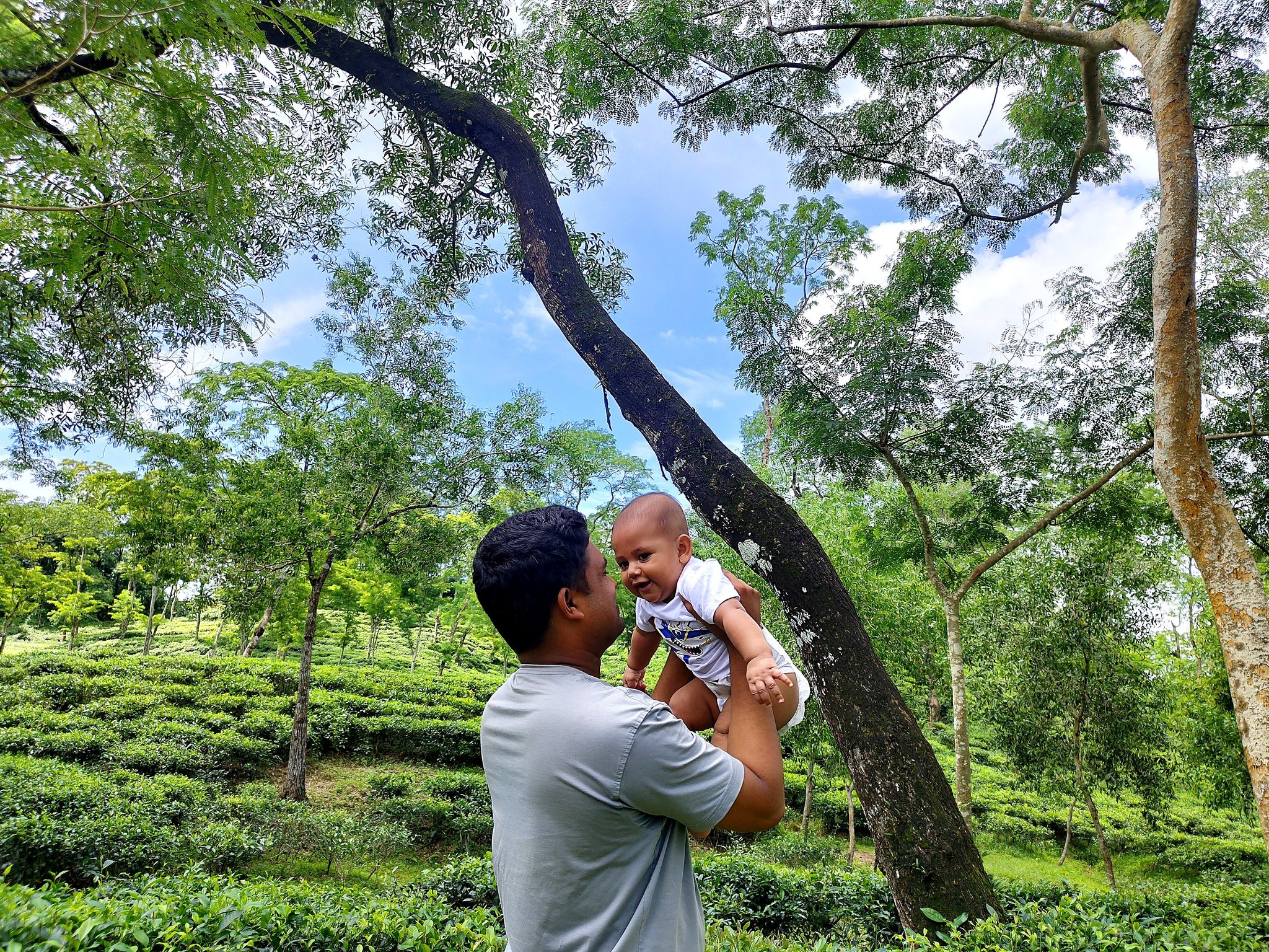 Saiful Islam Rafi
