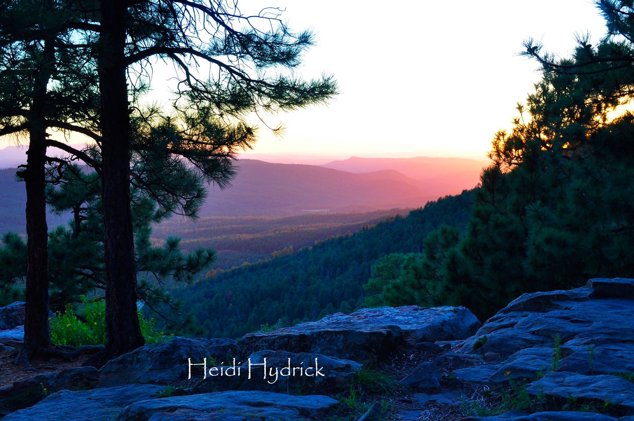 Heidi Hydrick Photography
