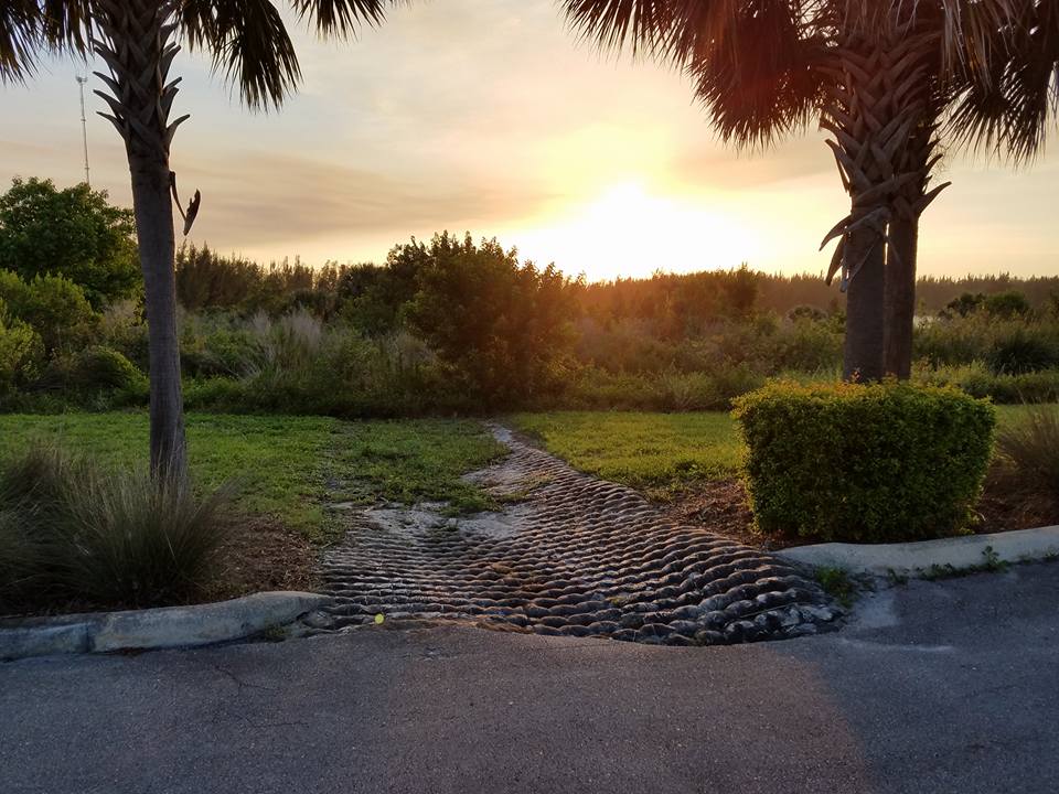 The Writer's Edge - Home