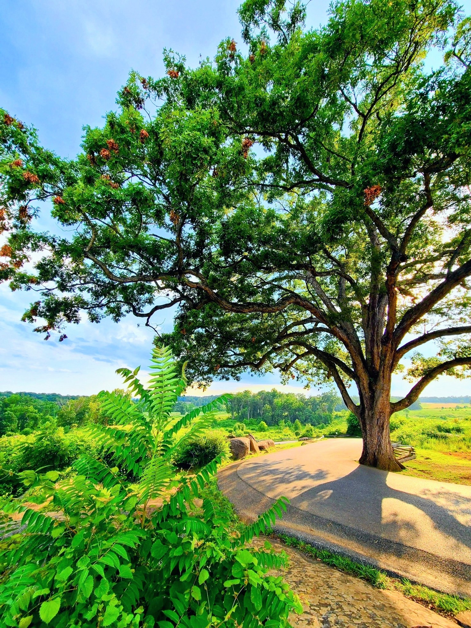 Gettysburg Gems | Witness Tree Devils Den | Facebook