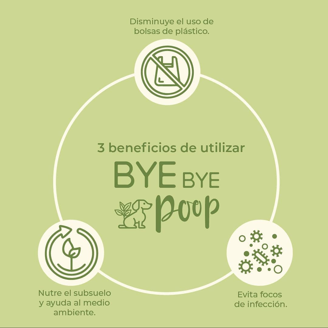 BYE BYE Poop - Si amas a tu perro usa el BYEBYE-POOP y... | Facebook