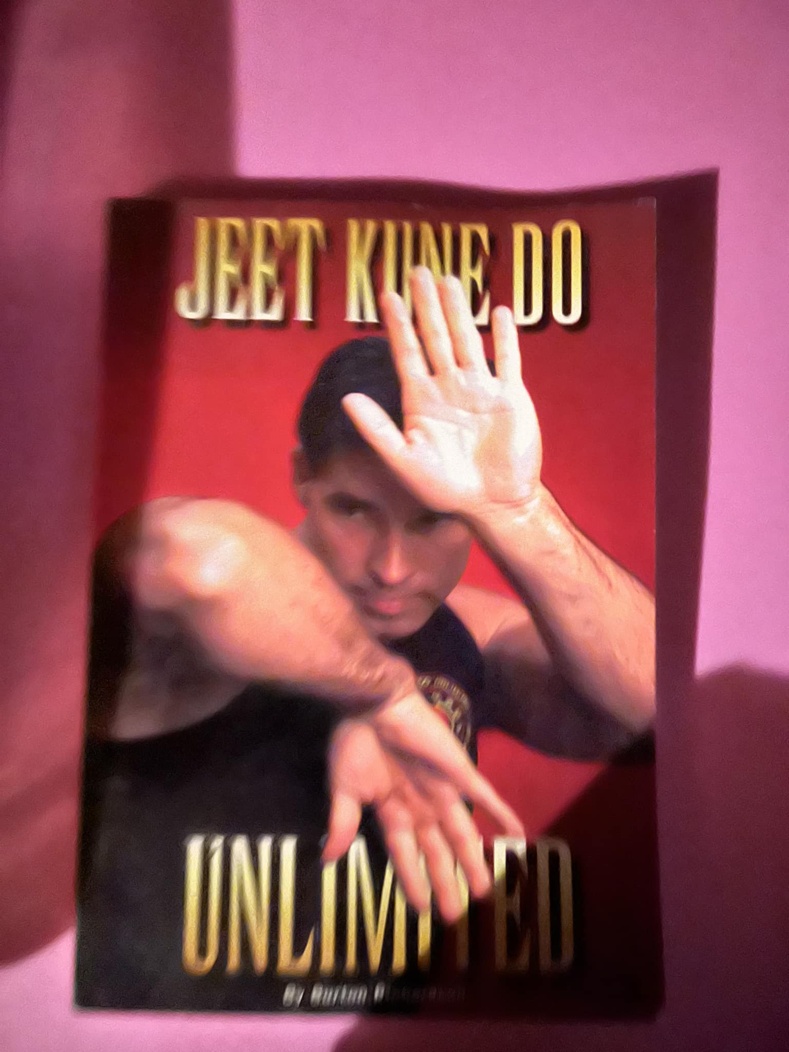 Martial arts books and balisong manuals found in attic