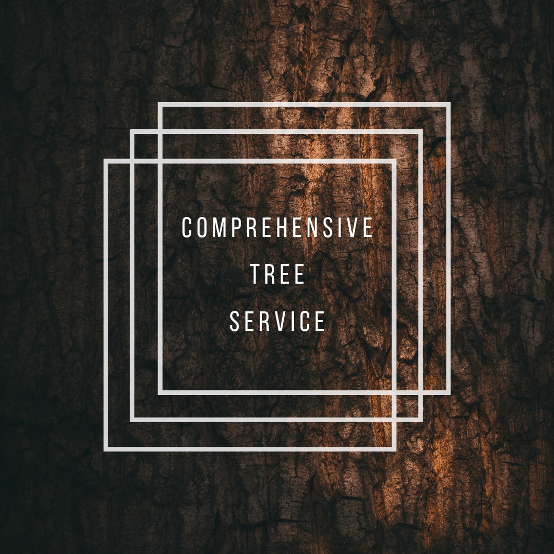 Vince's Tree and Landscape, LLC