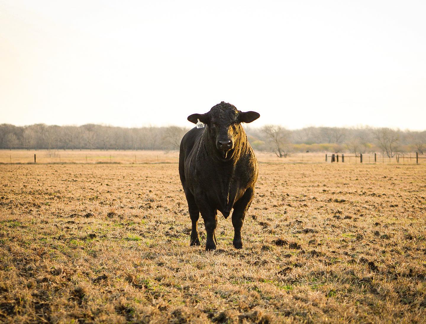 Tuna Rosa Ranch - Structural soundness is one of the most... | Facebook
