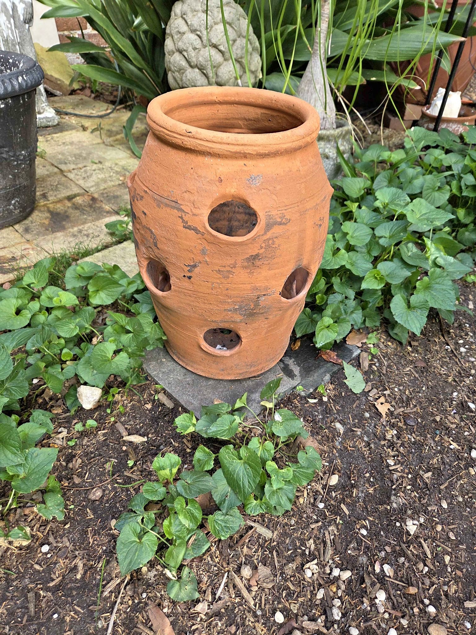 Terracotta strawberry planter - Pots & Planters - Florence, South