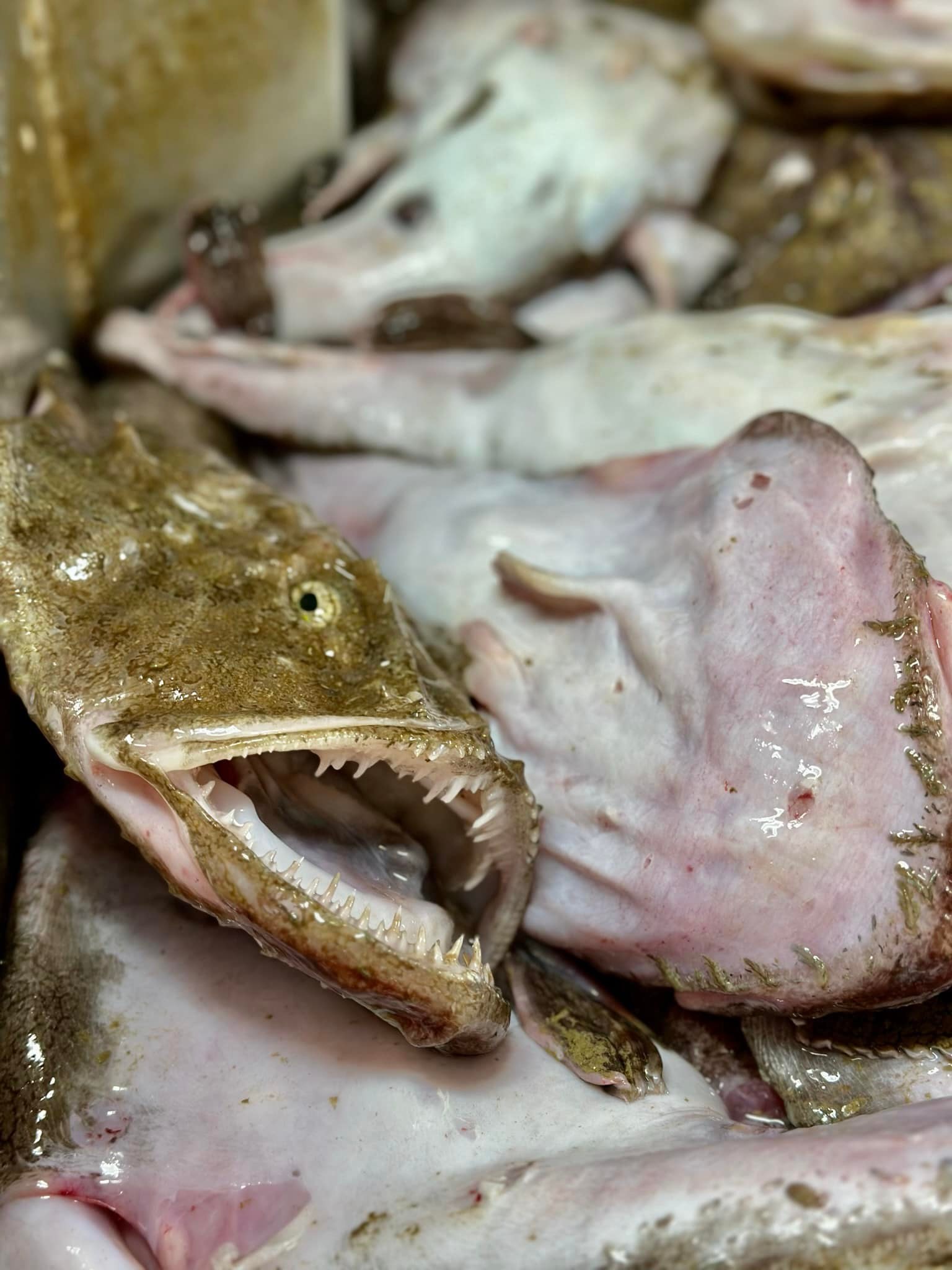 ***Fish/Lango Update*** We have 9 bags... - Nairn Fresh Fish | Facebook