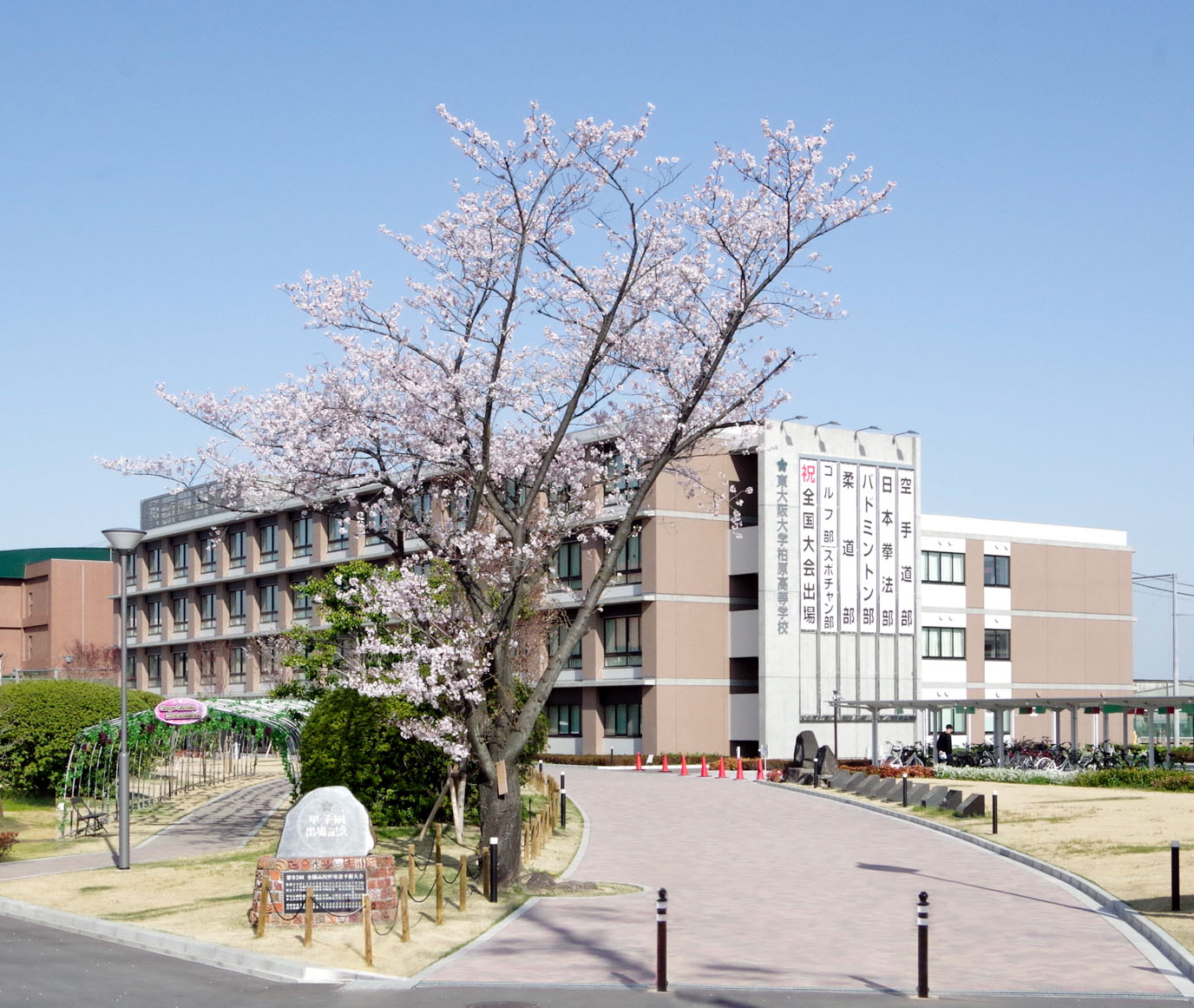 活動歴および当時の関連ビジュアル記録
