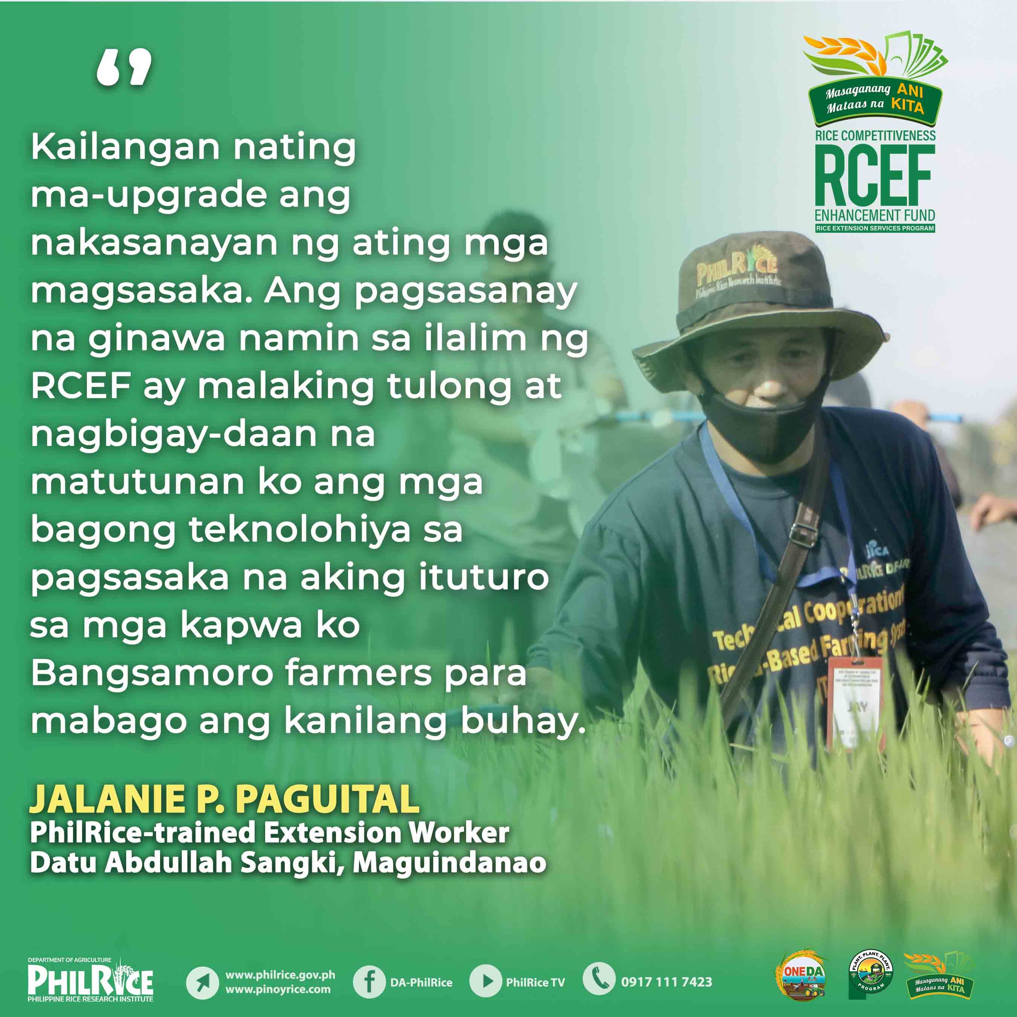 IPINAGMALAKI ni Jalanie P. Paguital... - DA-PhilRice Midsayap | Facebook