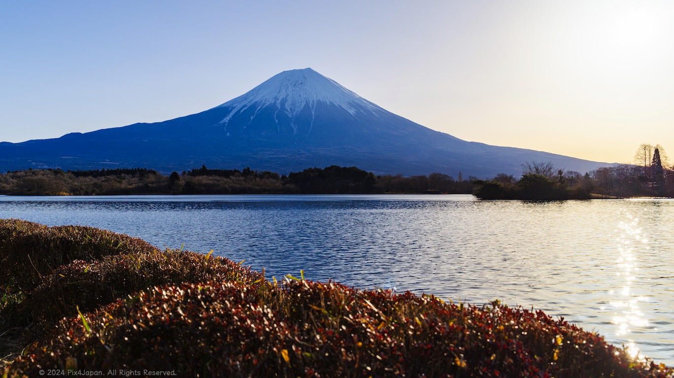 Red Mt. Fuji(赤富士) from Tama Lake(多摩湖) at dusk. Higashiyamato