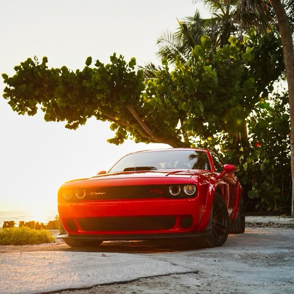Purisic Performance | Naples FL